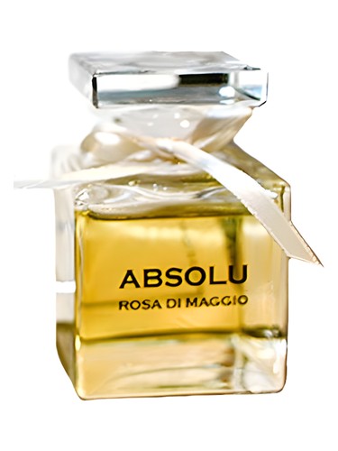 Absolu Rosa Di Maggio Diadema Exclusif