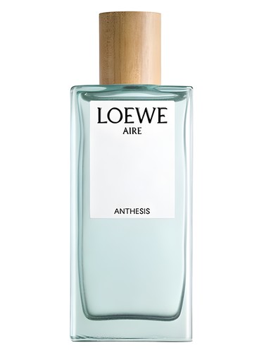 Aire Anthesis Loewe