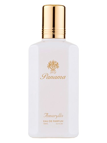 Amaryllis Bianco Panama 1924
