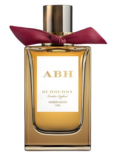 Amber Heath Burberry