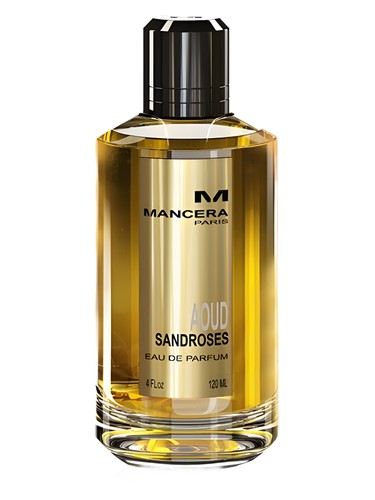 Aoud Sandroses Mancera