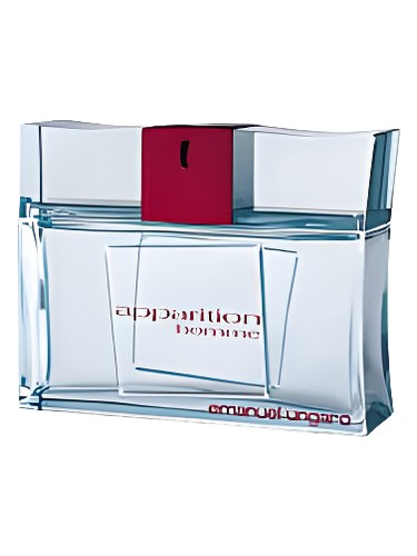 Apparition Homme Emanuel Ungaro
