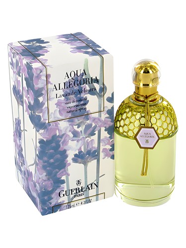 Aqua Allegoria Lavande Velours Guerlain