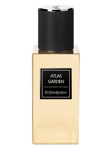 Atlas Garden Yves Saint Laurent for women and men