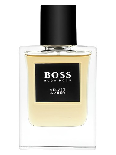 BOSS The Collection Velvet & Amber Hugo Boss