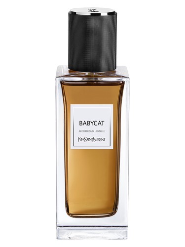 Babycat Yves Saint Laurent for women and men