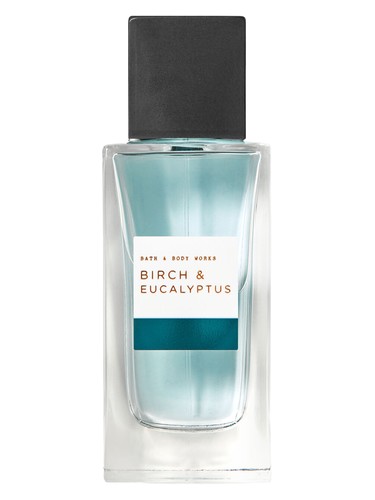 Birch & Eucalyptus Bath & Body Works