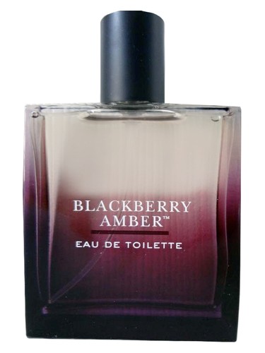 Blackberry Amber Bath & Body Works