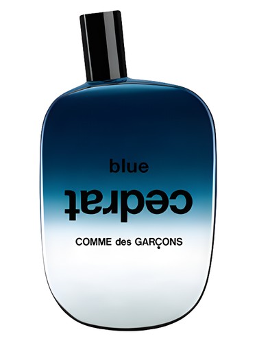 Blue Cedrat Comme des Garcons