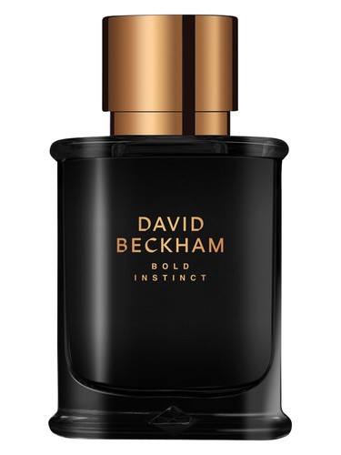 Bold Instinct David Beckham