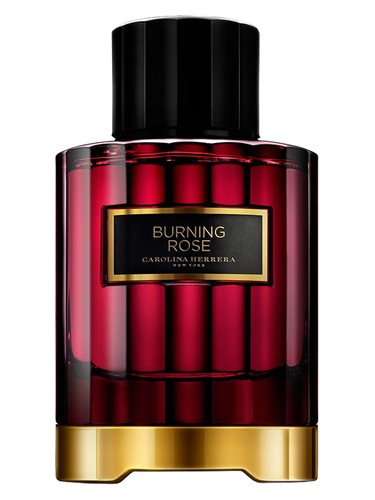 Burning Rose Carolina Herrera