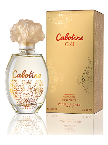 Cabotine Gold Grès