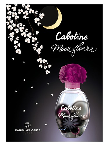 Cabotine Moon Flower Grès