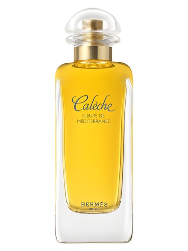Caleche Fleurs de Mediterranee Hermès