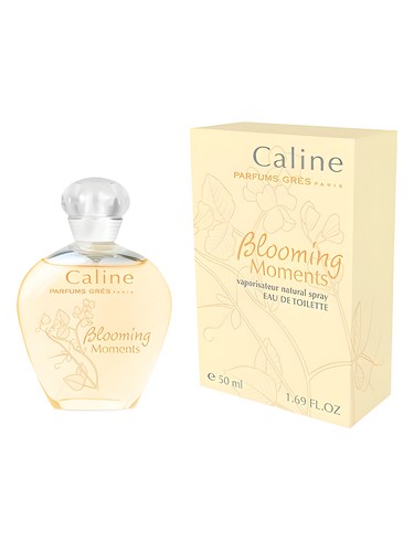Caline Blooming Moments Grès