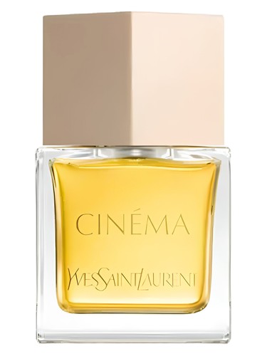 Cinéma 2024 Yves Saint Laurent