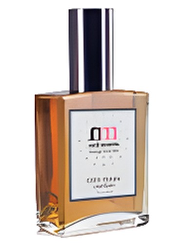 City Rain Neil Morris for women and men
