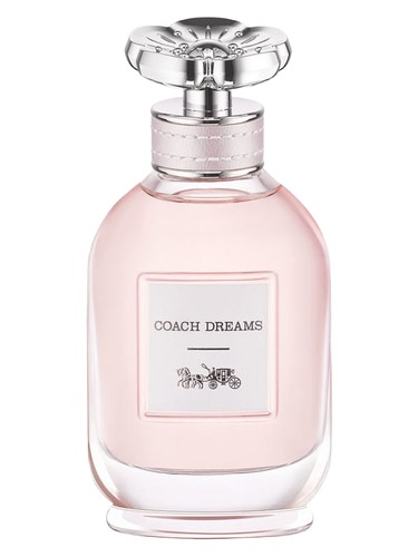Coach Dreams Coach