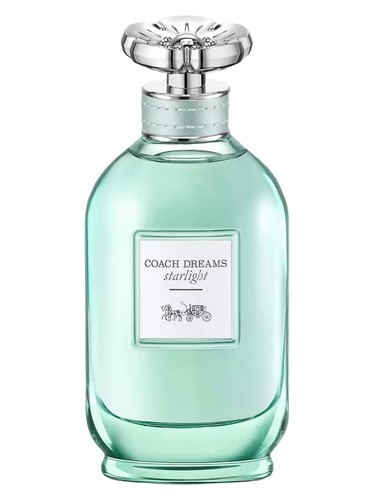Coach Dreams Starlight Coach