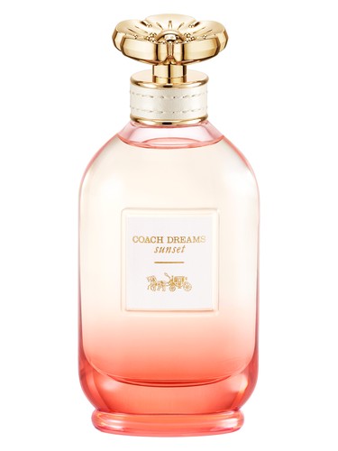 Coach Dreams Sunset Coach