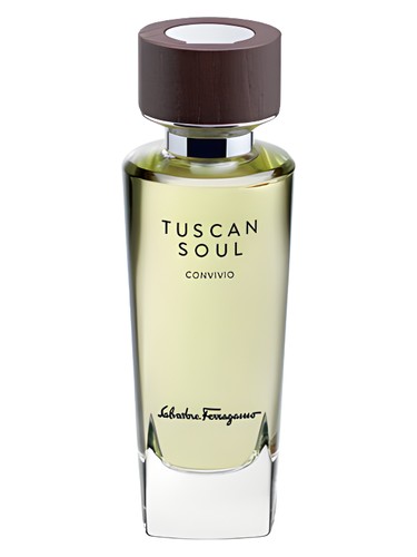 Convivio (2013) Salvatore Ferragamo for women and men