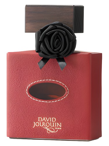 Cuir de R'Eve David Jourquin