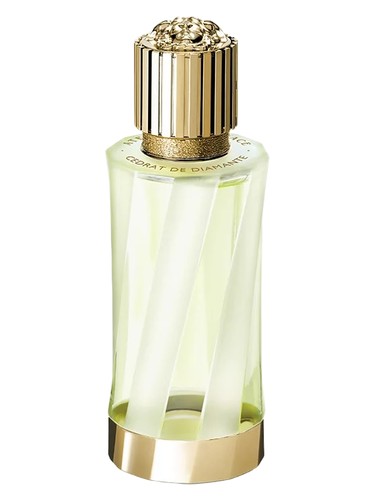 Cédrat de Diamante Versace for women and men