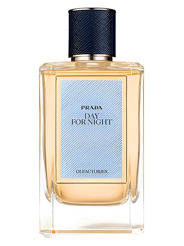 Day For Night Prada for women and men