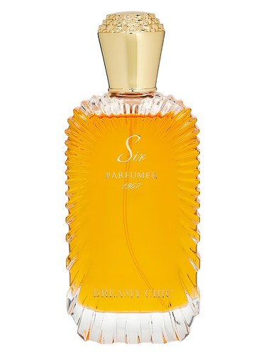 Dreamy Chic Sir Parfumer DNA 2030 for women and men