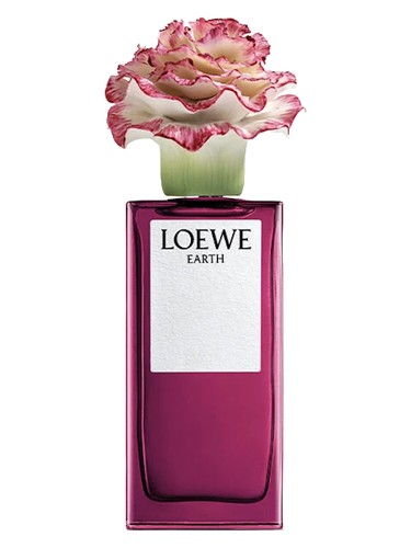 Earth x Lladró Loewe