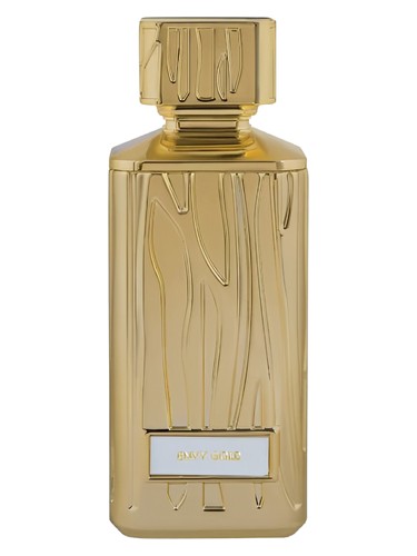 Envy Gold Hamidi for women and men