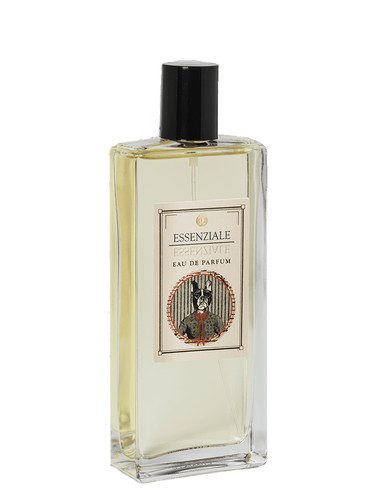 Essenziale Logevy Firenze 1965 for women and men