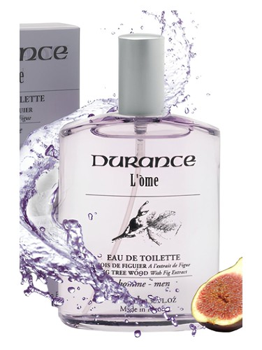 Fig Tree Wood Durance en Provence