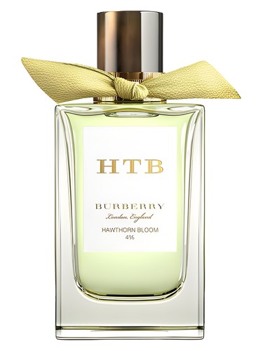 Hawthorn Bloom Burberry