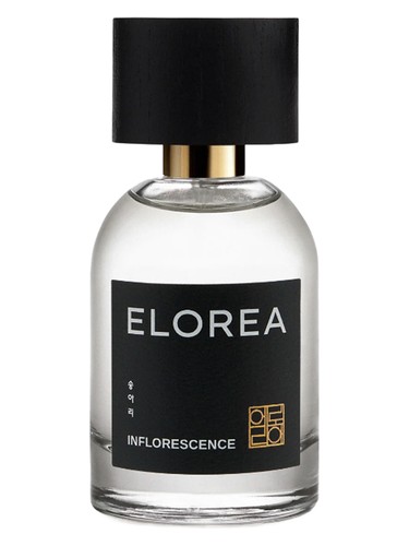INFLORESCENCE (송아리) ELOREA