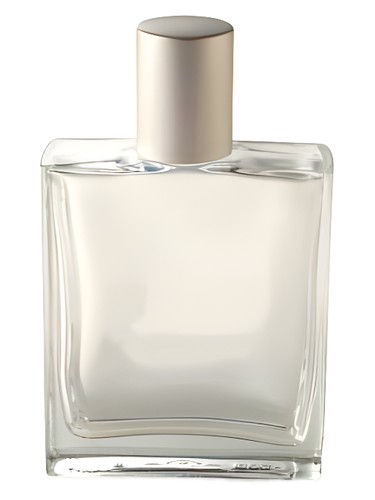 Indian Vetiver Bath & Body Works
