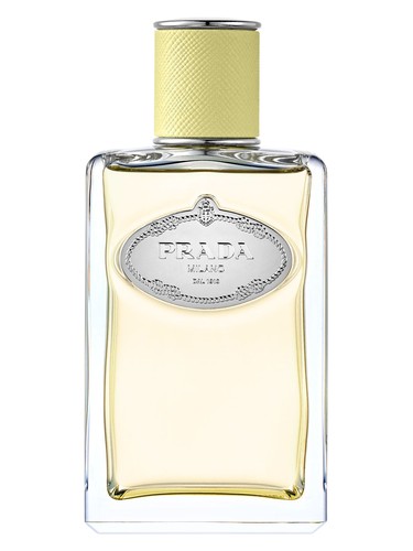 Infusion de Gingembre Prada for women and men