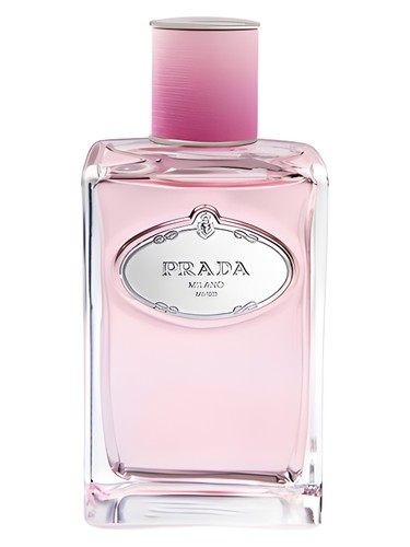 Infusion de Rose Prada