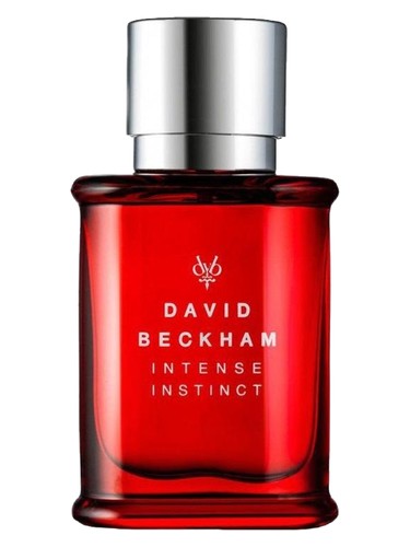 Intense Instinct David Beckham