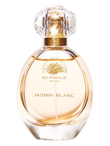 Jasmin Blanc Ed Pinaud