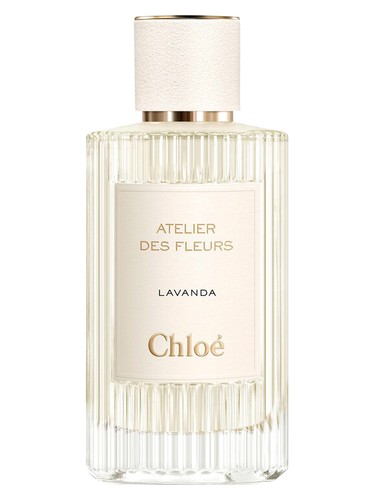 Lavanda Chloé