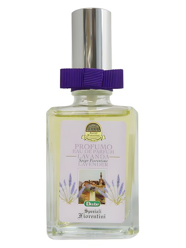 Lavanda Derbe