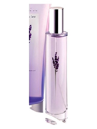 Lavender Avon