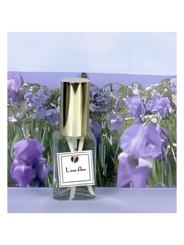 L’eau d’Iris DSH Perfumes for women and men