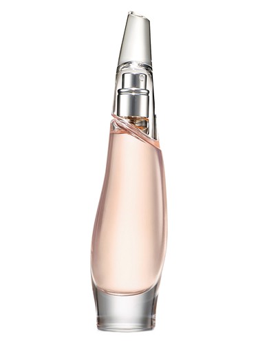 Liquid Cashmere Blush Donna Karan