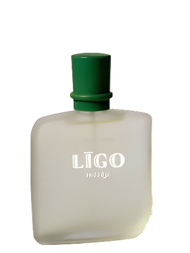 Līgo Svētku (Ligo Holiday) Dzintars