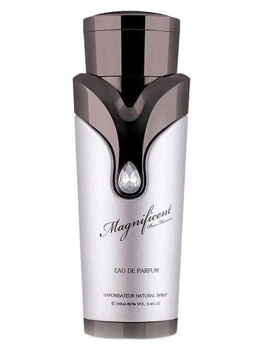 Magnificent Pour Homme Armaf