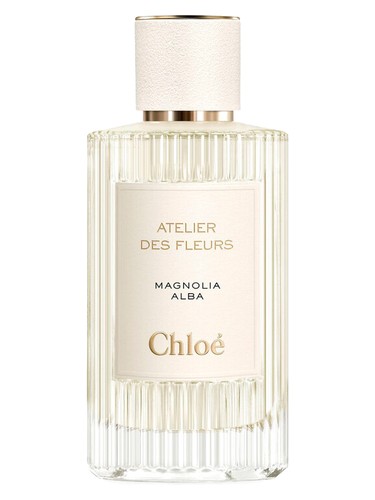 Magnolia Alba Chloé