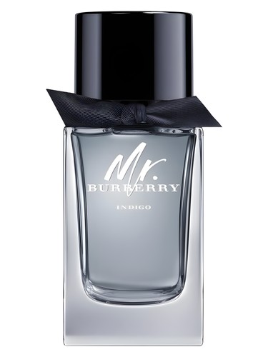 Mr. Burberry Indigo Burberry