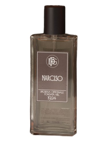 Narciso DFG1924